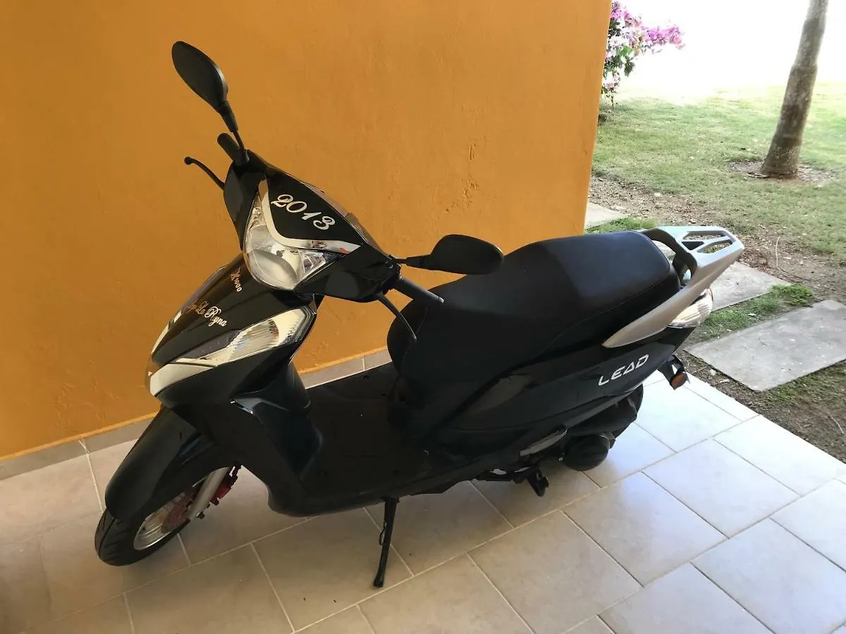 Punta Cana Apartment And Scooter For Free  Punta Cana